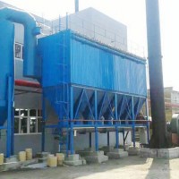 广东单机脉冲除尘器|河北泰琨环保加工定制生物质锅炉除尘器